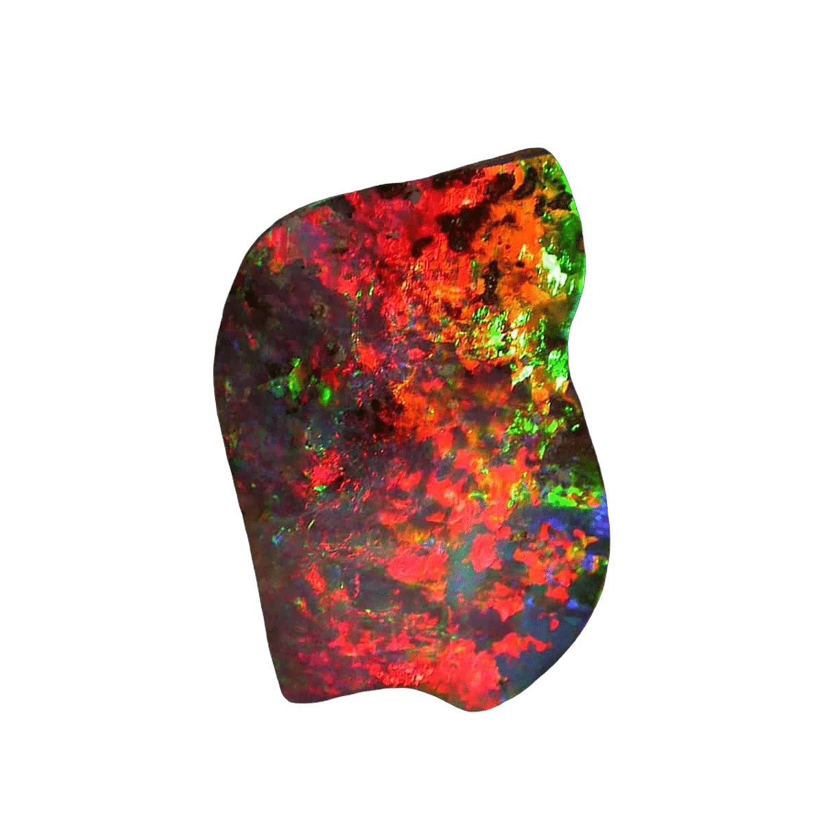 60.43ct Black Boulder Opal